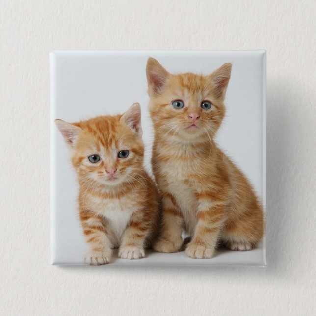 Two Adorable Kittens Pinback Button (Front)