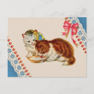 two adorable kittens postcard