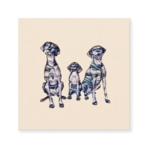 Two adult and one young puppy Vizsla breed dogs si Square Business Card Two adult and one young puppy Vizsla breed dogs si Square Business Card