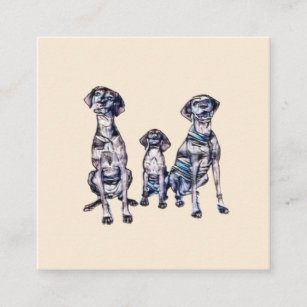 Two adult and one young puppy Vizsla breed dogs si Square Business Card