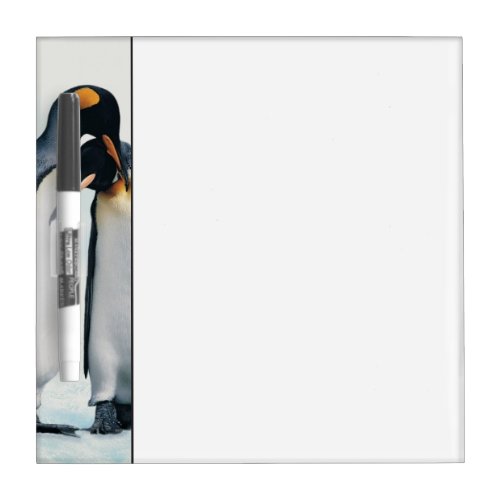 Two affectionate penguins Dry_Erase board