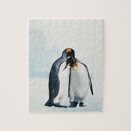 Two affectionate penguins jigsaw puzzle