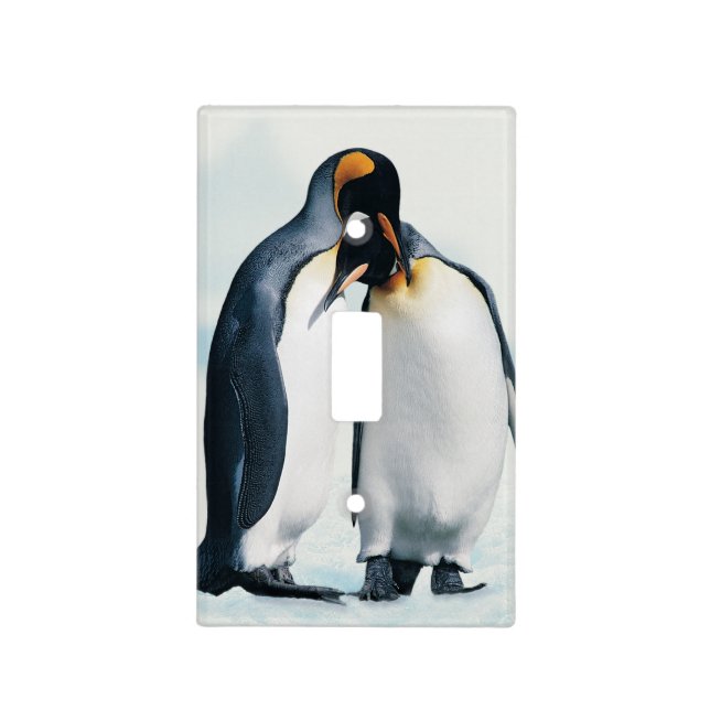 Two affectionate penguins light switch cover (Front)