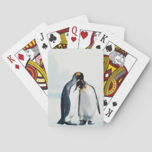 Two affectionate penguins poker cards