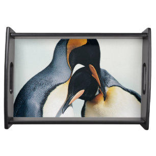 Two affectionate penguins serving tray