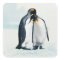Two affectionate penguins