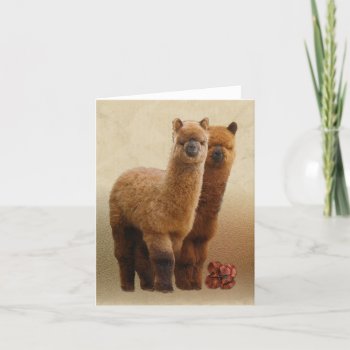 Two Alpacas Note Card by WalnutCreekAlpacas at Zazzle