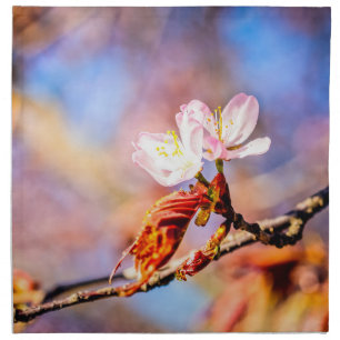 Two Amazing Sakura Flowers. Pink, Blue Background Cloth Napkin