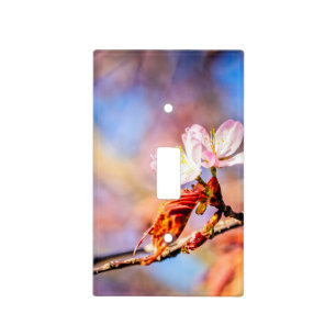 Two Amazing Sakura Flowers. Pink, Blue Background Light Switch Cover