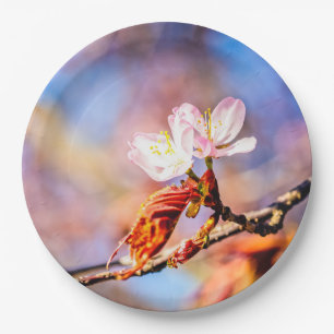Two Amazing Sakura Flowers. Pink, Blue Background Paper Plates
