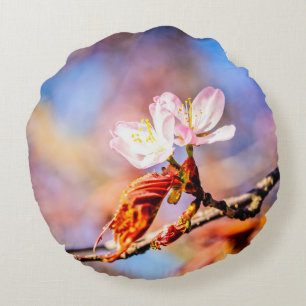 Two Amazing Sakura Flowers. Pink, Blue Background Round Pillow