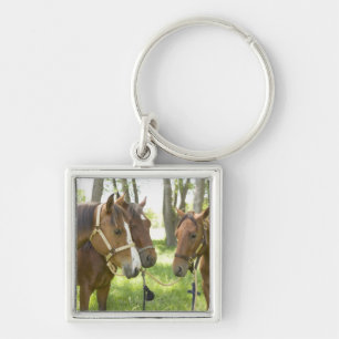 Two American Quarter horses standing in shade Keychain