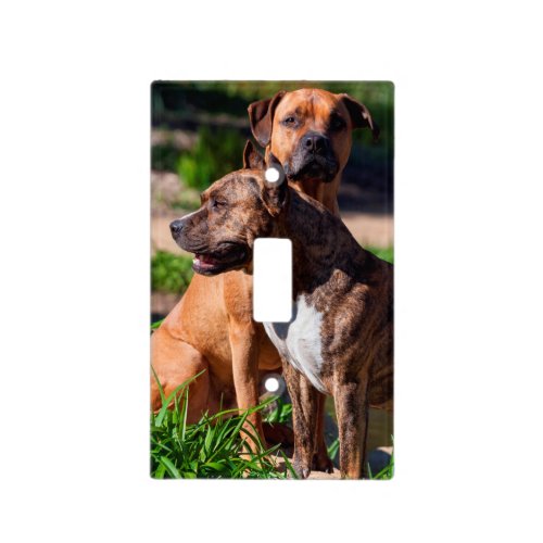 Two American Staffordshire Light Switch Cover