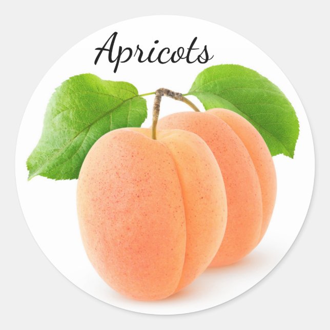 Two apricots classic round sticker (Front)