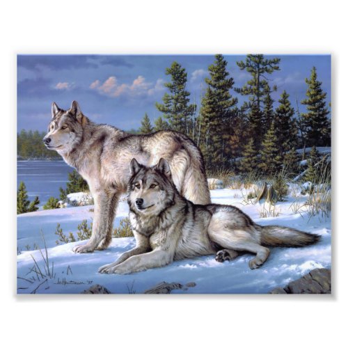 Two arctic wolves painting photo print