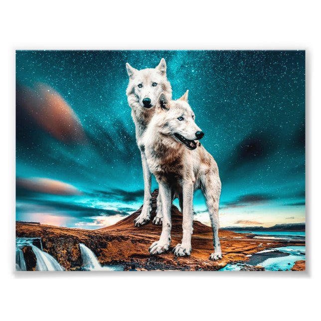 Two Arctic Wolves Photo Print (Front)