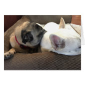 Two are better than one. (Front Horizontal)