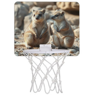 Two Aussie Rottnest IsLand Quokkas, Mini Basketball Hoop