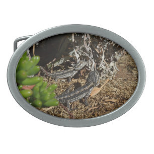 Two Australian Bearded Dragon Lizards, Belt Buckle