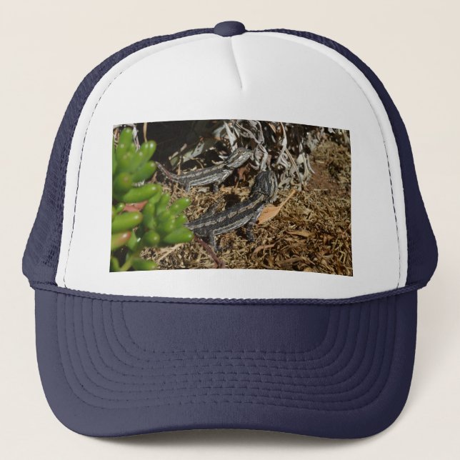 Two Australian Bearded Dragon Lizards,   Trucker Hat (Front)