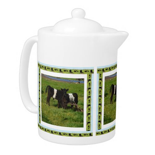 Two Baby Belted Galloway Cows In The Country Teapot