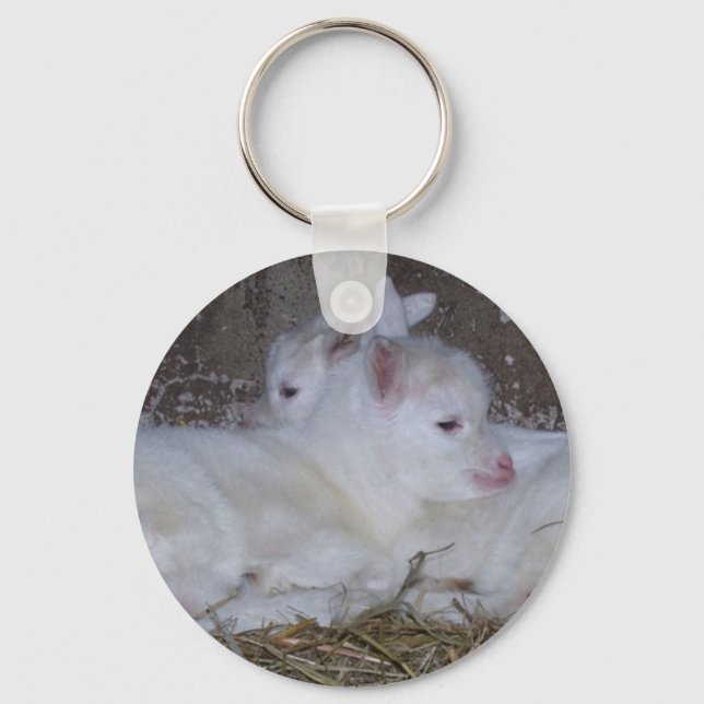 Two Baby Goats in Straw Keychain (Front)