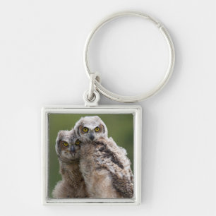 Two Baby Great Horned Owls Keychain