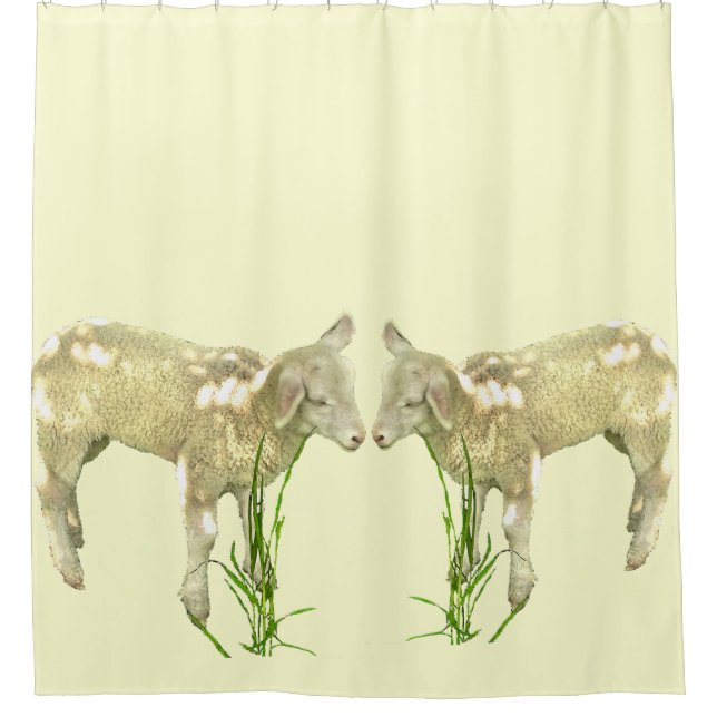 Two Baby Lambs on Yellow Shower Curtain (Front)