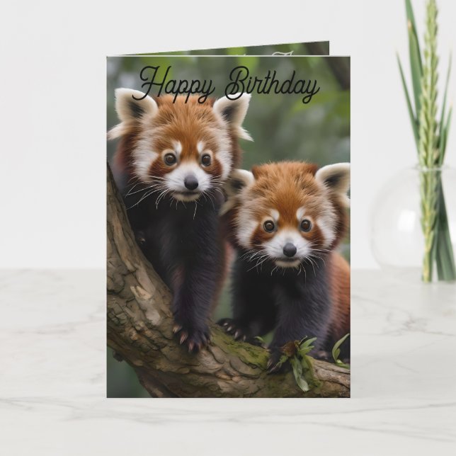 Two Baby Red Pandas, Birthday Card (Front)