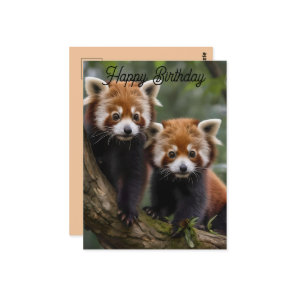 Two Baby Red Pandas, Birthday Postcard