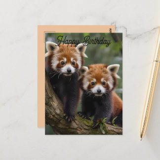 Two Baby Red Pandas, Birthday Postcard