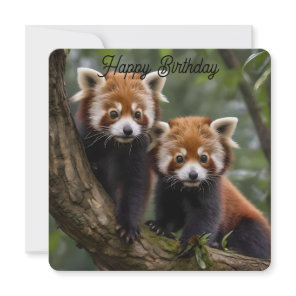 Two Baby Red Pandas, Flat Birthday Card