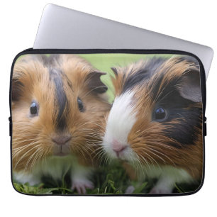 Two Baby Tortoiseshell Guinea Pigs, Laptop Sleeve