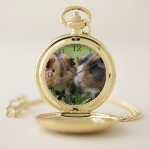 Two Baby Tortoiseshell Guinea Pigs, Pocket Watch