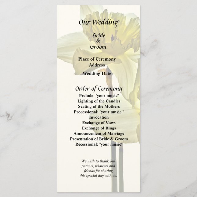 Two Backlit Daffodils Program (Front)