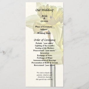 Two Backlit Daffodils Program