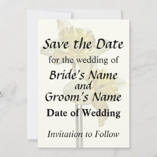 Two Backlit Daffodils Save The Date