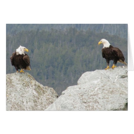 Two Bald Eagles Cards (Front Horizontal)
