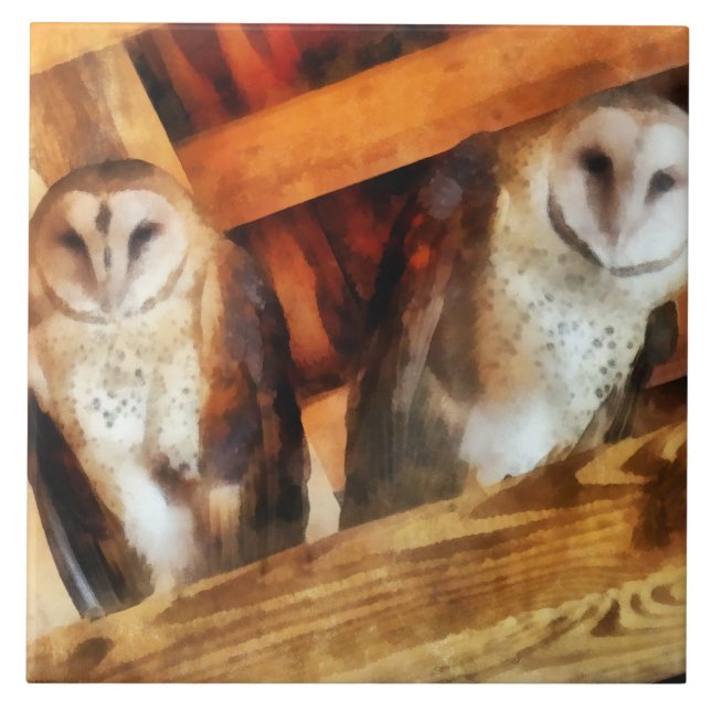 Two Barn Owls Tile (Front)