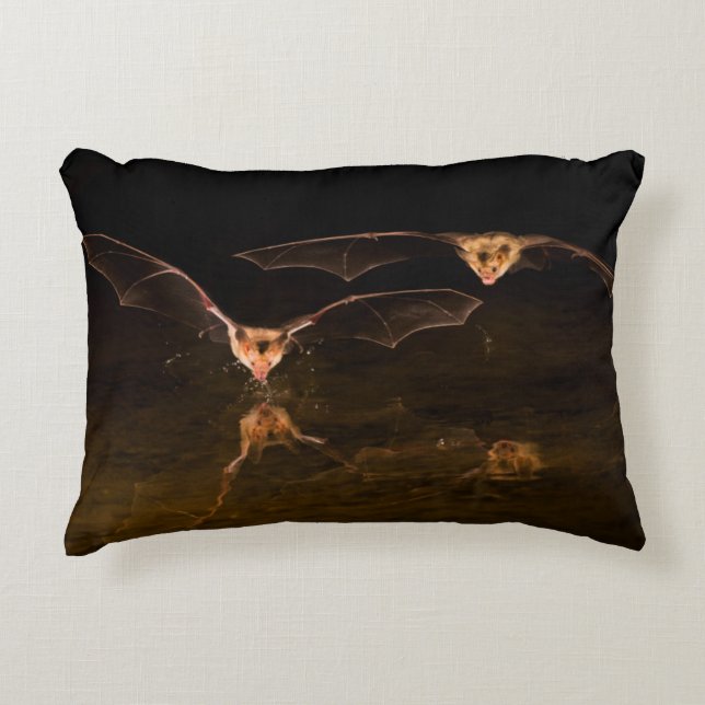 Two bats flying over water, Arizona Decorative Pillow (Front)