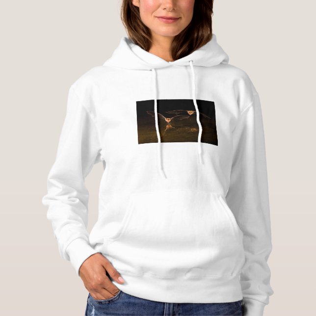Two bats flying over water, Arizona Hoodie (Front)