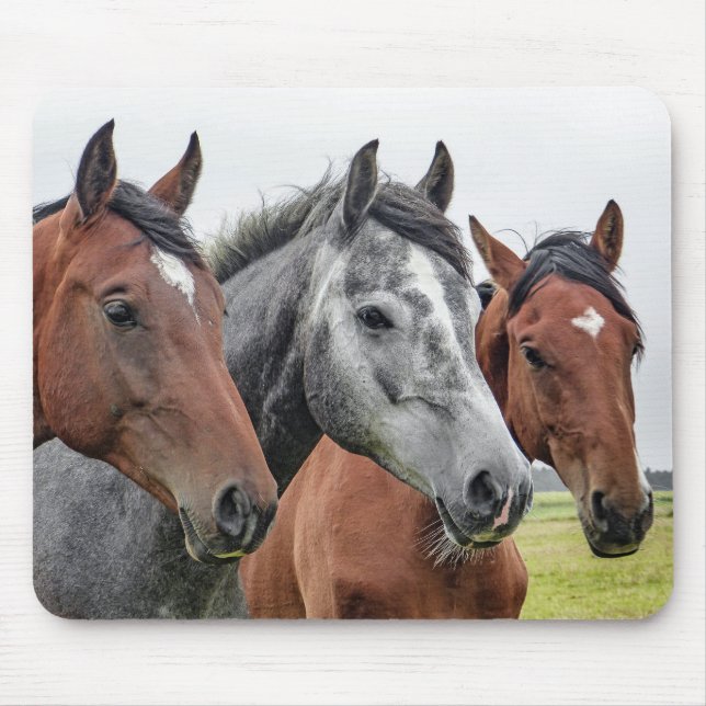 Two Bays and a Gray, Three Horses in a Row Mouse Pad (Front)