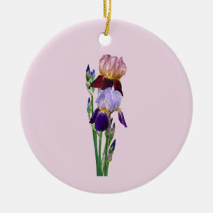Two Bearded Irises One Maroon One Purple Ceramic Ornament