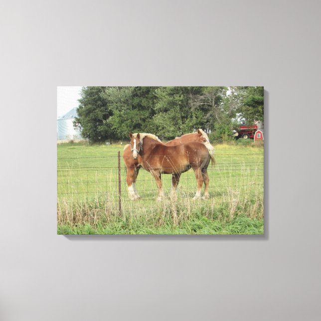Two Beautiful Amber Horses Next to a Farmhouse Art Canvas Print (Front)