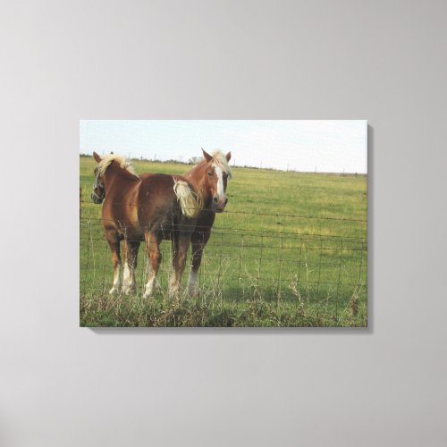 Two Beautiful Amber Horses Next to a Farmhouse Pho Canvas Print