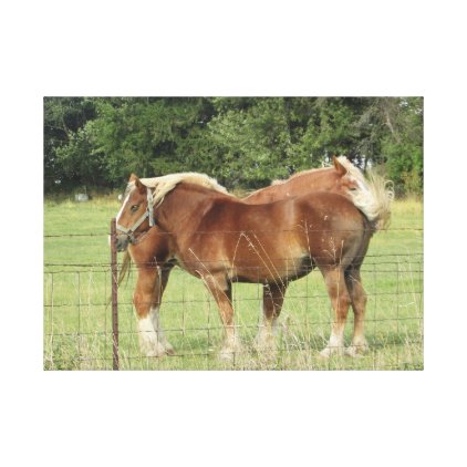 Two Beautiful Amber Horses Next to a Farmhouse Pho Canvas Print
