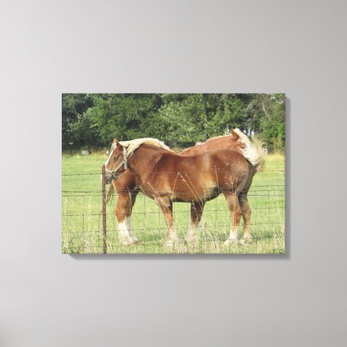 Two Beautiful Amber Horses Next to a Farmhouse Pho Canvas Print