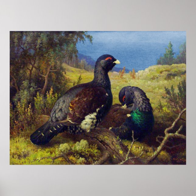 Two Beautiful Birds Poster (Front)