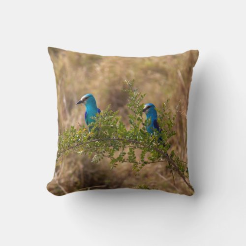 Two Beautiful Blue Birds on a Branch Throw Pillow