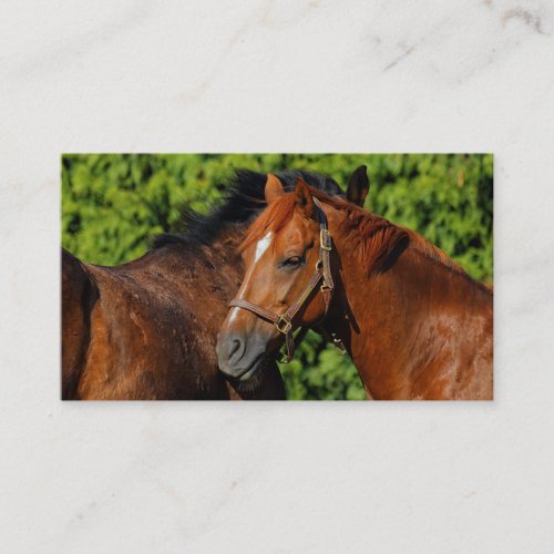 Two Beautiful Chestnut Horses in the Sun Business Card
